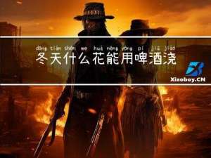 冬天什么花能用啤酒浇