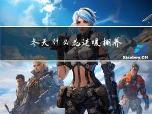 冬天什么花进暖棚养