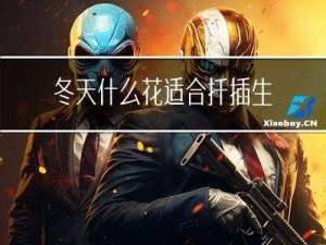 冬天什么花适合扦插生根