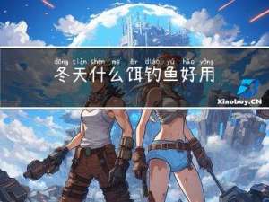 冬天什么饵钓鱼好用