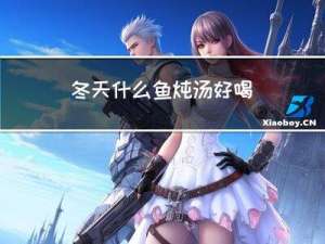 冬天什么鱼炖汤好喝