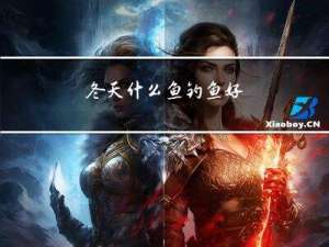 冬天什么鱼钓鱼好