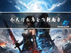 冬天什么鸟会飞到南方过年