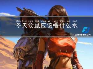 冬天仓鼠应该喂什么水果