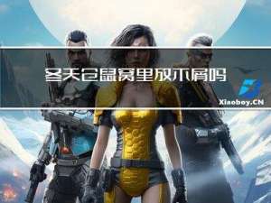 冬天仓鼠窝里放木屑吗