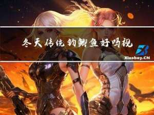 冬天传统钓鲫鱼好吗视频