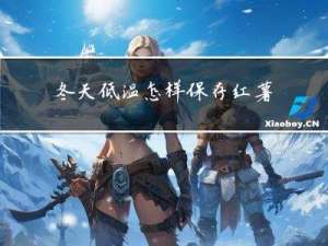 冬天低温怎样保存红薯干