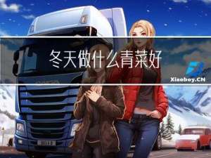 冬天做什么青菜好