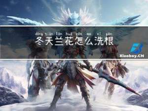 冬天兰花怎么洗根
