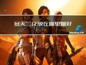 冬天兰花放在哪里最好