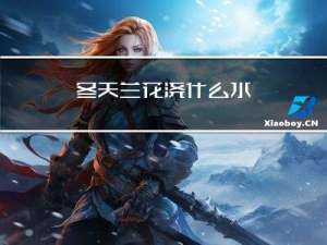 冬天兰花浇什么水