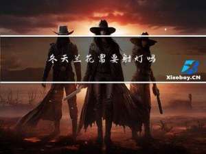 冬天兰花需要射灯吗