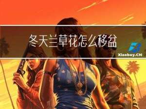冬天兰草花怎么移盆