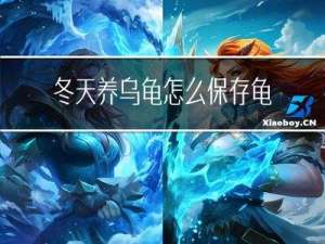 冬天养乌龟怎么保存龟壳