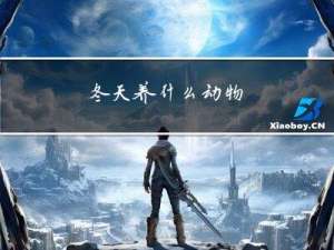 冬天养什么动物