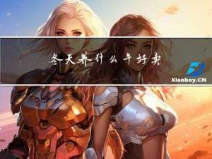 冬天养什么牛好卖
