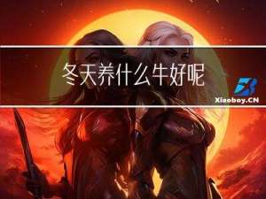 冬天养什么牛好呢