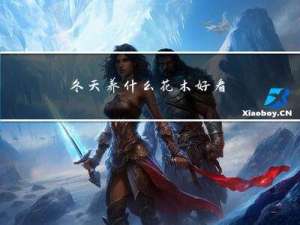 冬天养什么花木好看