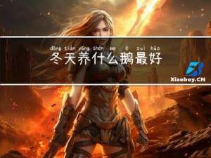 冬天养什么鹅最好