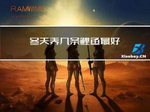 冬天养几条鲤鱼最好