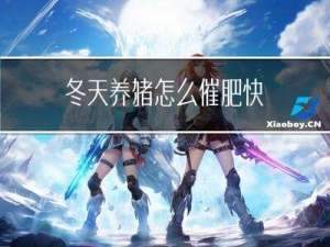 冬天养猪怎么催肥快