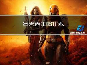 冬天养生喝什么