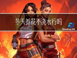 冬天养花不浇水行吗