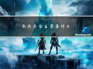 冬天养金鱼需要什么
