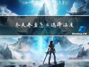 冬天养鱼怎么选择温度