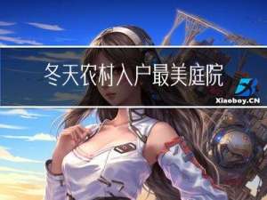 冬天农村入户最美庭院图片