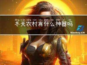 冬天农村有什么神器吗