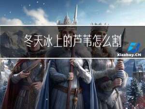 冬天冰上的芦苇怎么割去