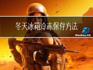 冬天冰箱冷冻保存方法