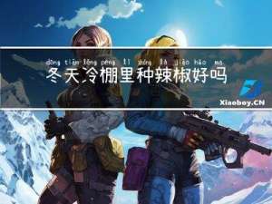 冬天冷棚里种辣椒好吗