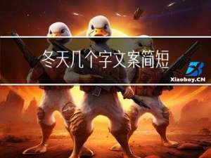 冬天几个字文案简短