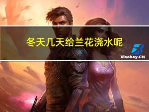 冬天几天给兰花浇水呢