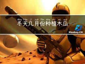 冬天几月份种植木瓜