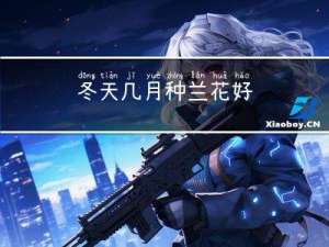 冬天几月种兰花好