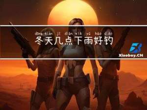 冬天几点下雨好钓