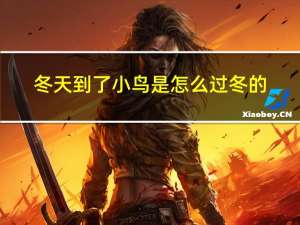 冬天到了小鸟是怎么过冬的