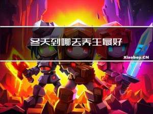 冬天到哪去养生最好
