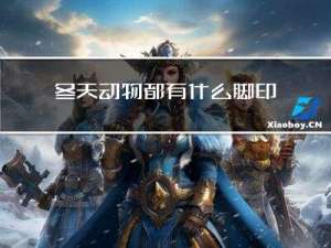 冬天动物都有什么脚印图片