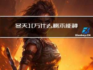 冬天北方什么树不能种植