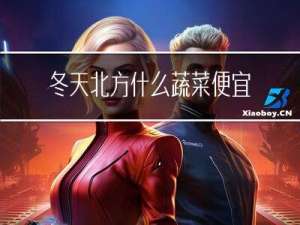 冬天北方什么蔬菜便宜卖