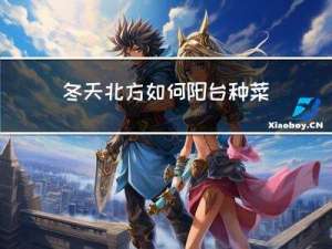 冬天北方如何阳台种菜苗