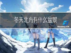 冬天北方有什么盆景