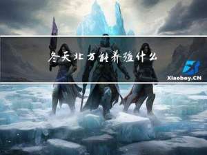 冬天北方能养殖什么