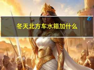 冬天北方车水箱加什么