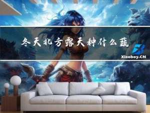冬天北方露天种什么蔬菜