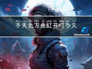 冬天北方鱼缸开灯多久